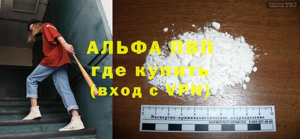 сатива Аркадак