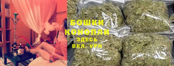сатива Аркадак