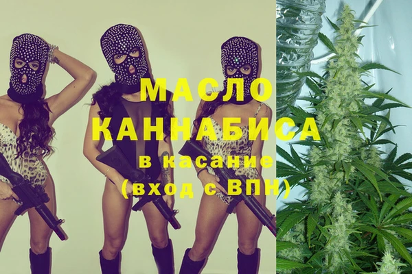 шишки Новодвинск