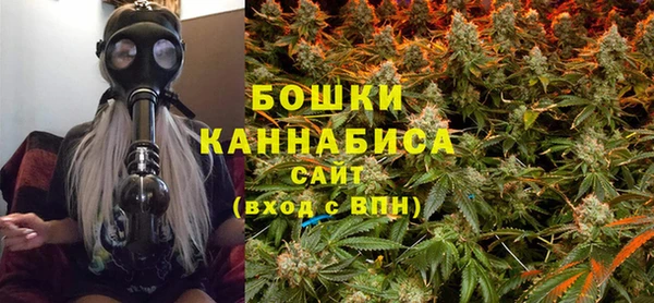 сатива Аркадак
