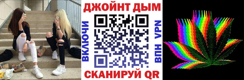 Бошки Шишки планчик Вяземский